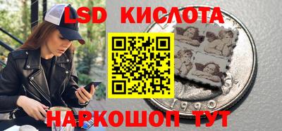 шишки Пушкино