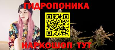 шишки Пушкино