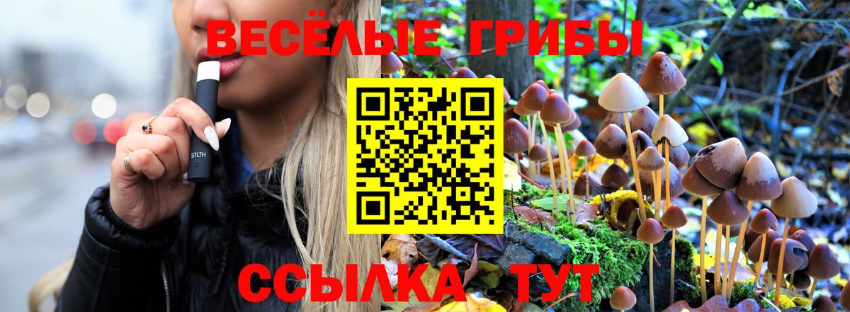 Галлюциногенные грибы прущие грибы  где купить наркотик  Галлюциногенные грибы Psilocybine cubensis  Нурлат  Вход с VPN 